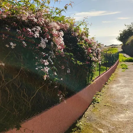公寓 Golden Sun Refugio -calheta *