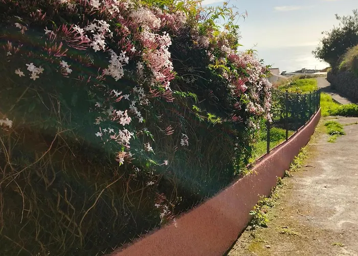 Apartamento Golden Sun Refugio *